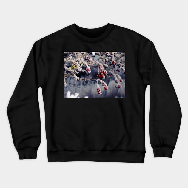 Frosted Berries Crewneck Sweatshirt by InspiraImage